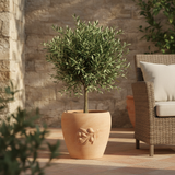 teraplast teraplast vaso siena 48 terracotta galestro ean 8051560261181