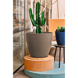 teraplast teraplast vaso bayon 50 kit resina milk ean 8051560279476