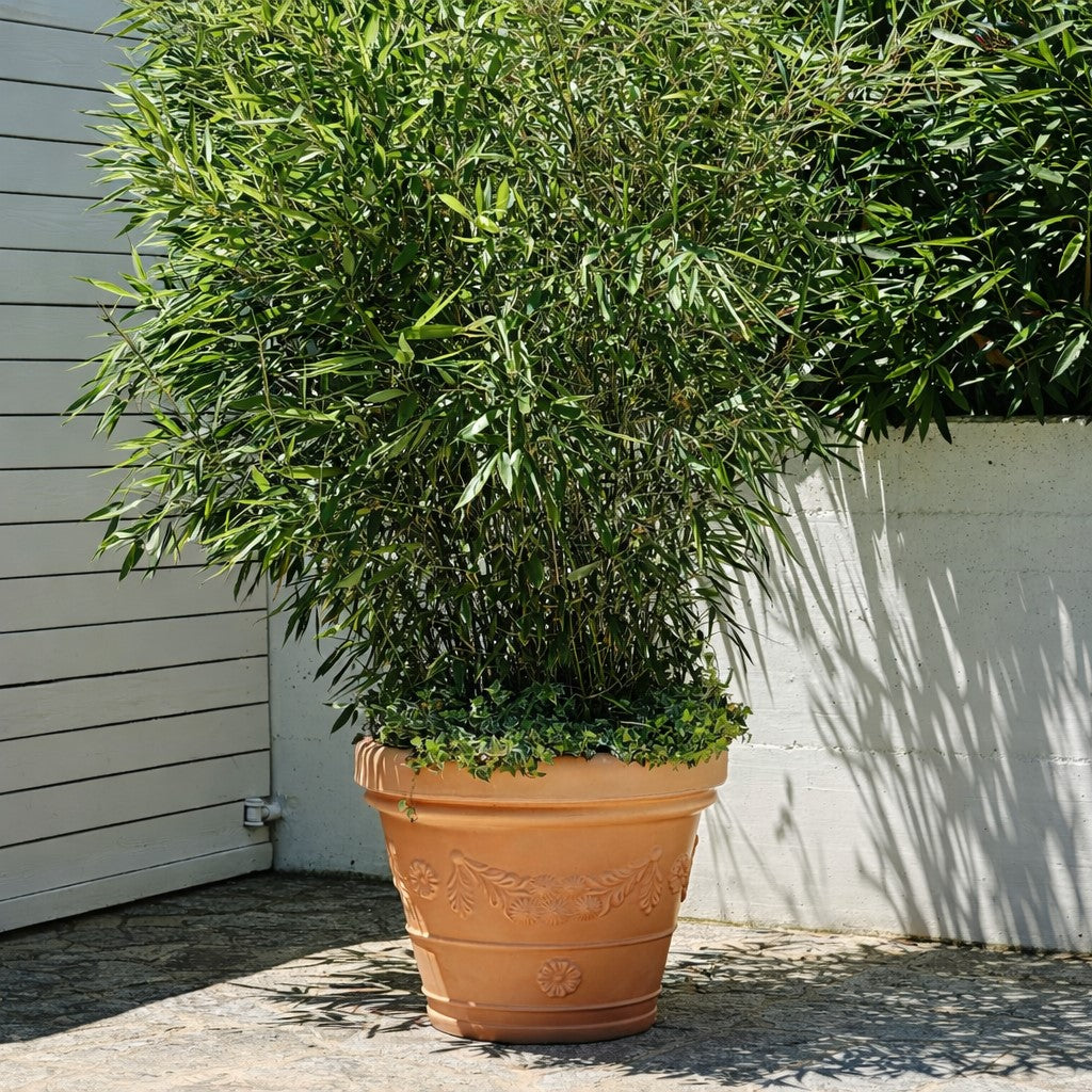 teraplast teraplast vaso festonato 60 resina anticato ean 8033844525035