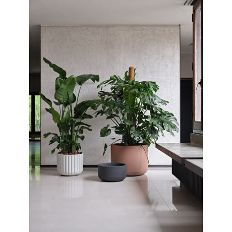 teraplast teraplast vaso pulse liscio 50 sovrapponibile resina silver fog ean 8051560280243