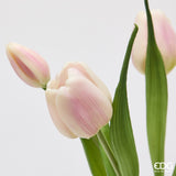 edg enzo de gasperi edg enzo de gasperi bouquete tulipano chiuso x4 h 40 cm con bocciolo bianco rosa ean 8059824612922