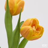 edg enzo de gasperi edg enzo de gasperi bouquete tulipano chiuso x4 h 40 cm con bocciolo giallo arancione ean 8059824612762