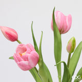edg enzo de gasperi edg enzo de gasperi bouquete tulipano chiuso x4 h 40 cm con bocciolo rosa scuro ean 8059824612809