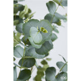 edg enzo de gasperi edg enzo de gasperi eucalipto con vaso h 210 cm pianta artificiale verde ean 8059824607461