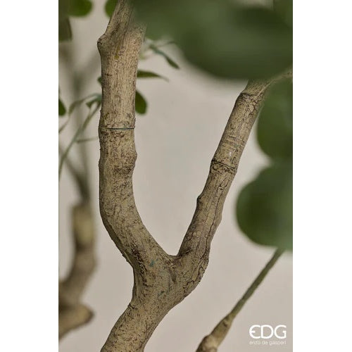 edg enzo de gasperi edg enzo de gasperi eucalipto con vaso h 244 cm pianta artificiale verde ean 8059824607287