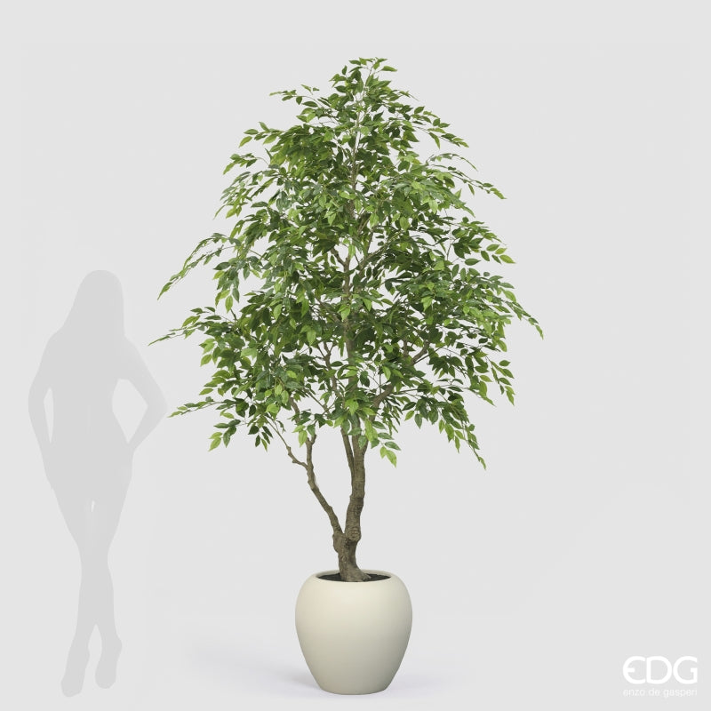 edg enzo de gasperi edg enzo de gasperi ficus beniamino vogue con vaso pianta artificiale h 224 cm verde ean 8059824607317