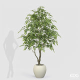 edg enzo de gasperi edg enzo de gasperi ficus beniamino vogue con vaso pianta artificiale h 224 cm verde ean 8059824607317