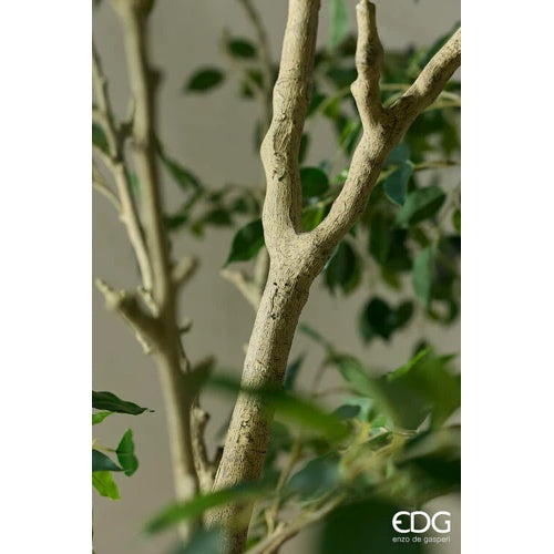 edg enzo de gasperi edg enzo de gasperi ficus beniamino vogue con vaso pianta artificiale h 240 cm verde ean 8059824607324