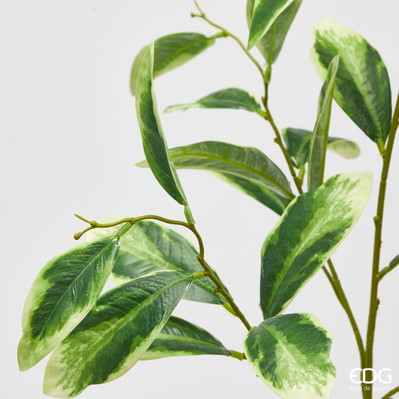edg enzo de gasperi edg enzo de gasperi ligustro ramo h 110 cm pianta artificiale giallo verde ean 8059824606846