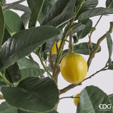 edg enzo de gasperi edg enzo de gasperi limone anti uv x13 con vaso pianta artificiale h 184 cm verde giallo ean 8059824655448