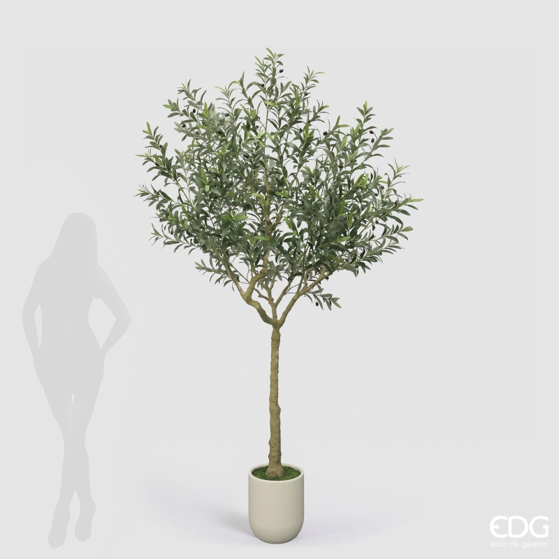 edg enzo de gasperi edg enzo de gasperi olivo con vaso h 240 cm pianta artificiale verde ean 8059824607485