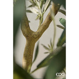 edg enzo de gasperi edg enzo de gasperi olivo vogue con vaso pianta artificiale h 240 cm verde ean 8059824607478