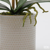 edg enzo de gasperi edg enzo de gasperi orchidea phalaenopsis con foglie e vaso h 47 cm pianta artificiale bianco ean 8059824513656