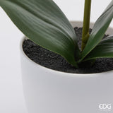 edg enzo de gasperi edg enzo de gasperi orchidea phalaenopsis con vaso e foglie h 40 cm pianta artificiale fuchsia ean 8059824513571