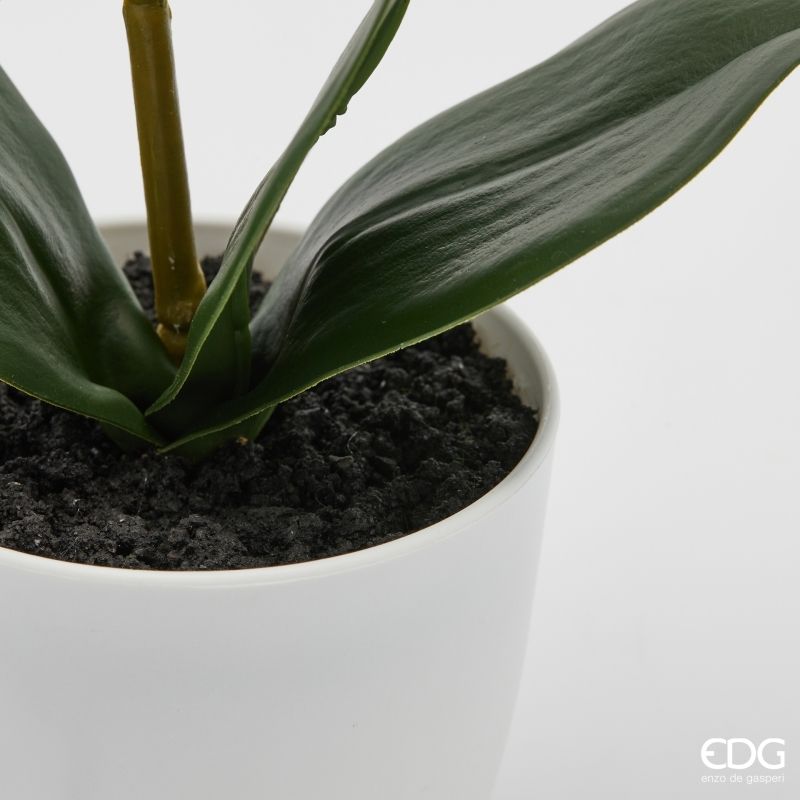 edg enzo de gasperi edg enzo de gasperi orchidea phalaenopsis con vaso e foglie h 40 cm pianta artificiale rosa chiaro ean 8059824513557