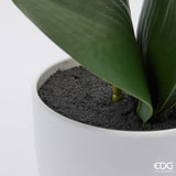 edg enzo de gasperi edg enzo de gasperi orchidea phalaenopsis con vaso e foglie h 50 cm pianta artificiale fuchsia ean 8059824513632