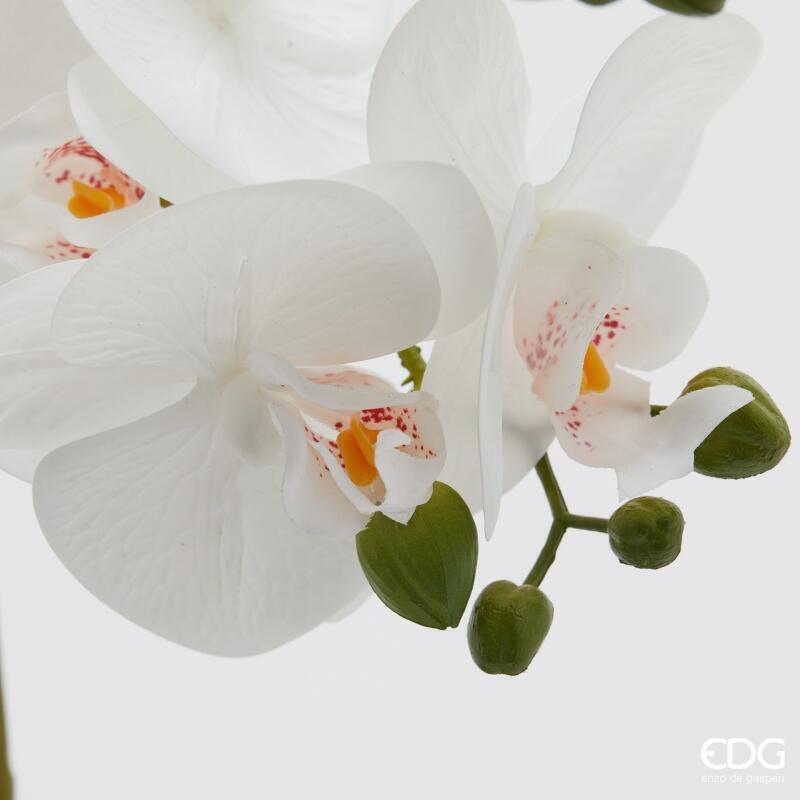 edg enzo de gasperi edg enzo de gasperi orchidea phalaenopsis x2 con foglie e vaso h 51 cm pianta artificiale bianco ean 8059824513717