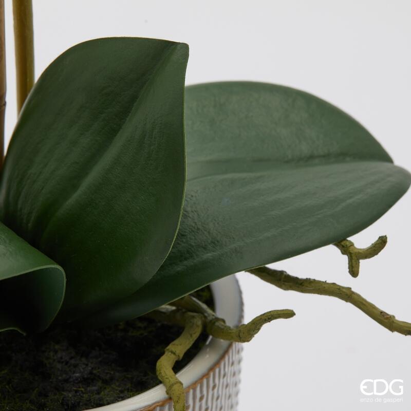 edg enzo de gasperi edg enzo de gasperi orchidea phalaenopsis x2 con foglie e vaso h 51 cm pianta artificiale rosa chiaro ean 8059824513755