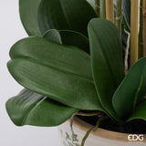 edg enzo de gasperi edg enzo de gasperi orchidea phalaenopsis x8 con bocciolo e vaso pianta artificiale h 90 cm bianco ean 8059824669285