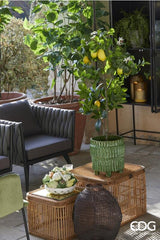 edg enzo de gasperi edg enzo de gasperi pianta artificiale di limoni duke con vaso pvc h 102 cm giallo verde ean 8056372982972