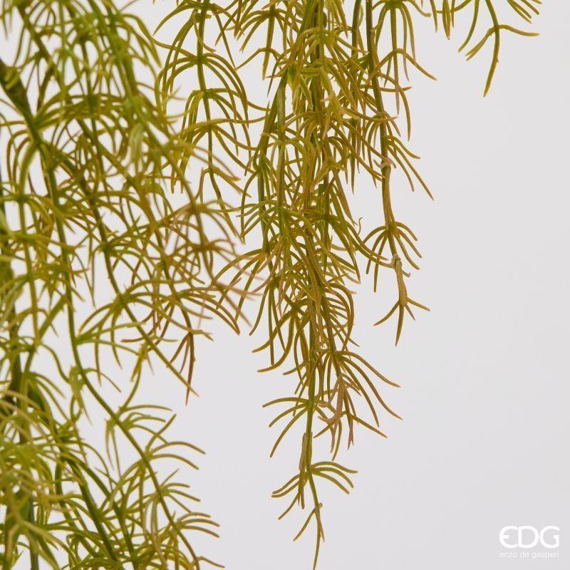 edg enzo de gasperi edg enzo de gasperi pianta artificiale erba palustre cadente h 106 cm olive pianta decorativa realistica design moderno ean 8059824667922