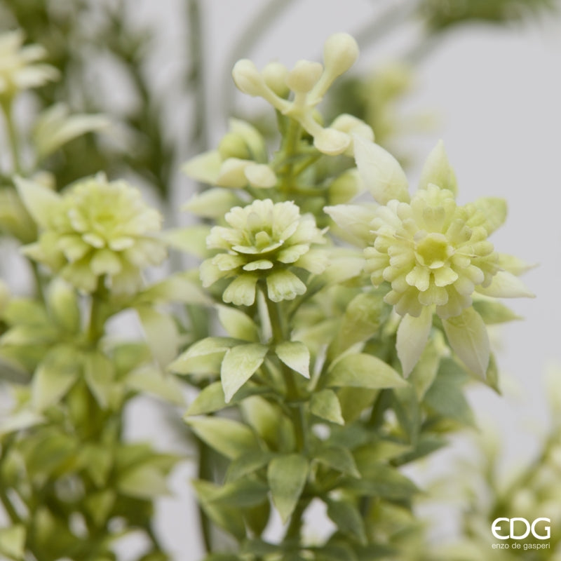 edg enzo de gasperi edg enzo de gasperi pianta artificiale erba palustre cespuglio h 55 cm white pianta decorativa realistica design moderno ean 8059824668516