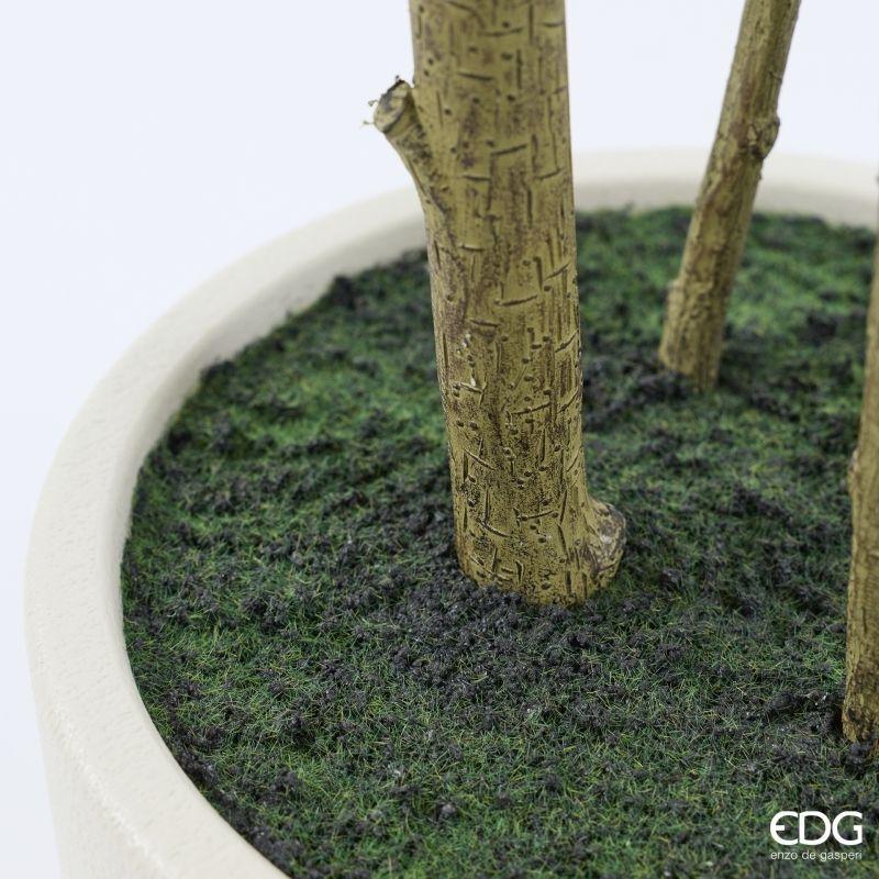 edg enzo de gasperi edg enzo de gasperi pianta artificiale ficus beniamino vogue con vaso h 240 cm pianta decorativa realistica design moderno ean 8059824655042