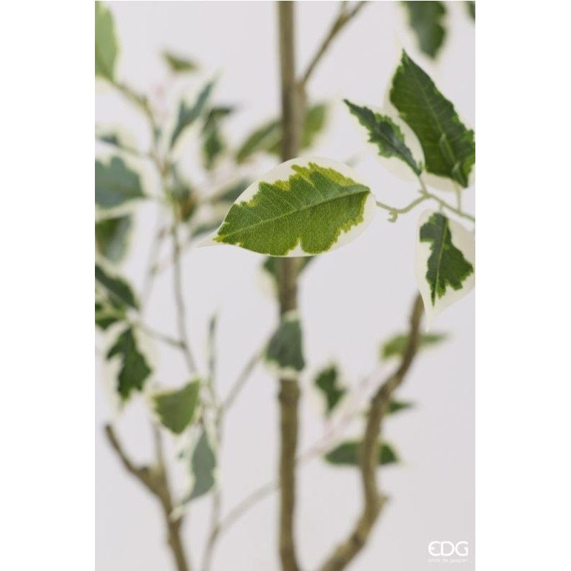 edg enzo de gasperi edg enzo de gasperi pianta artificiale ficus vogue con vaso h120 cm pianta decorativa realistica design moderno ean 8059824655226