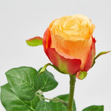 edg enzo de gasperi edg enzo de gasperi rosa bocciolo olis 3 fg ramo ass h 51 cm pianta artificiale arancione 1 pz ean 8056372812880