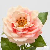 edg enzo de gasperi edg enzo de gasperi rosa ramo con foglie h 58 cm pianta artificiale pesca ean 8059824647405