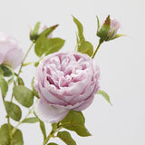 edg enzo de gasperi edg enzo de gasperi rosa sonia ramo x3 con foglie e bocciolo h 65 cm pianta artificiale mauve ean 8059824475299