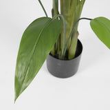 edg enzo de gasperi edg enzo de gasperi strelizia con vaso x32 pianta artificiale h 215 cm verde ean 8059824498021