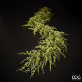 edg_enzo de gasperi edg_enzo de gasperi festone di natale ghirlanda thuja con bacche l 195 cm verde ean 8059824401397