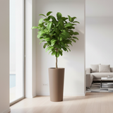 Vaso conico alto da esterno in resina UV, Ø44,5×H110 cm, 35 L, colore Cappuccino. TeraPlast Schio, −30°/+60°C, riciclabile.  ean-8051560015715