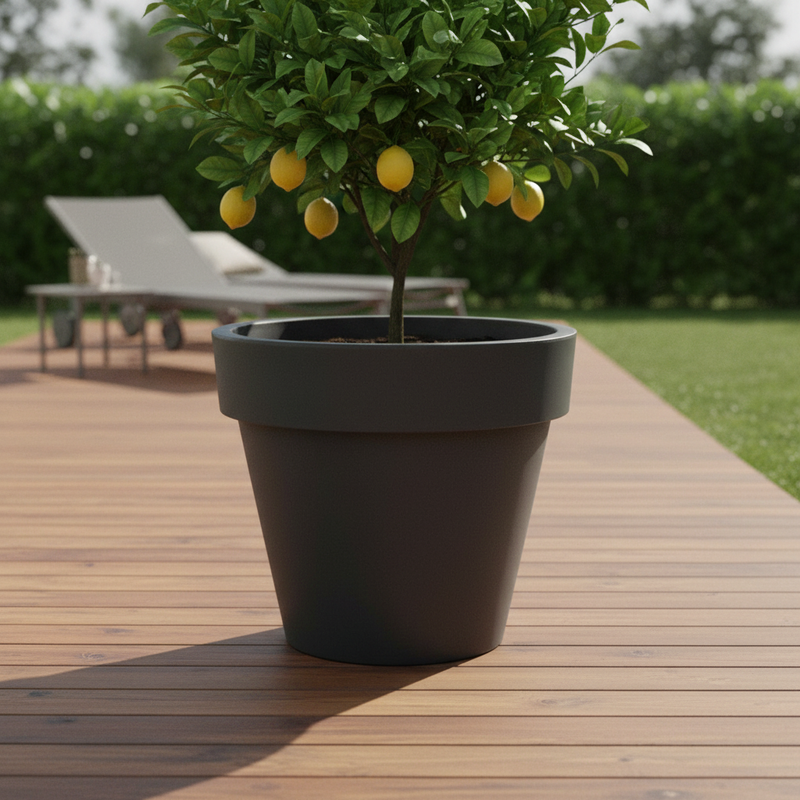Scena 5 – Giardino con deck in legno, vaso antracite con limone