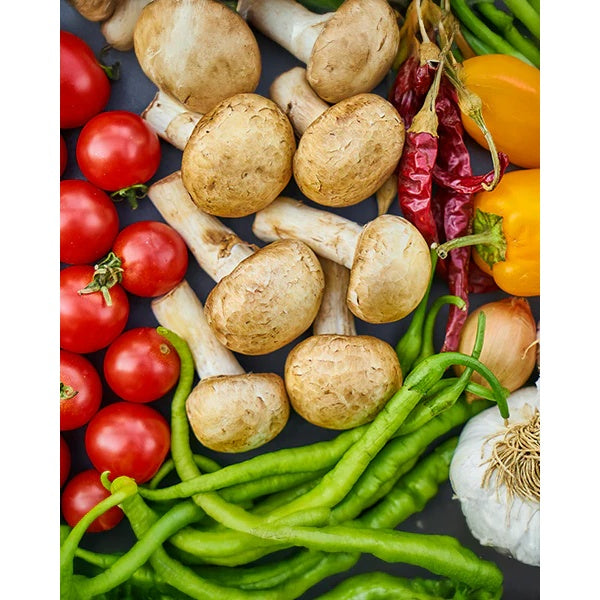 victorinox victorinox pelaverdure ypso lama dentellata doppio taglio acciaio lota verde ean 7613329185667