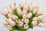 edg enzo de gasperi edg enzo de gasperi bouquete tulipano chiuso x4 h 40 cm con bocciolo bianco rosa ean 8059824612922