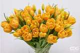 edg enzo de gasperi edg enzo de gasperi bouquete tulipano chiuso x4 h 40 cm con bocciolo giallo arancione ean 8059824612762