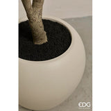 edg enzo de gasperi edg enzo de gasperi eucalipto con vaso h 244 cm pianta artificiale verde ean 8059824607287