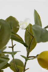 edg enzo de gasperi edg enzo de gasperi limone con vaso e foglie x6 pianta artificiale h 60 cm verde giallo ean 8059824634832