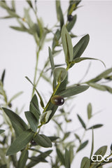 edg enzo de gasperi edg enzo de gasperi olivo con vaso h 190 cm pianta artificiale verde ean 8059824378644