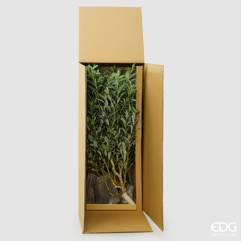 edg enzo de gasperi edg enzo de gasperi olivo con vaso h 230 cm pianta artificiale verde ean 8059824607492