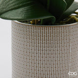 edg enzo de gasperi edg enzo de gasperi orchidea phalaenopsis x2 con foglie e vaso h 51 cm pianta artificiale bianco ean 8059824513717