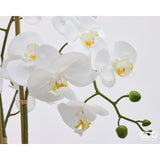 edg enzo de gasperi edg enzo de gasperi orchidea phalaenopsis x8 con bocciolo e vaso pianta artificiale h 90 cm bianco ean 8059824669285