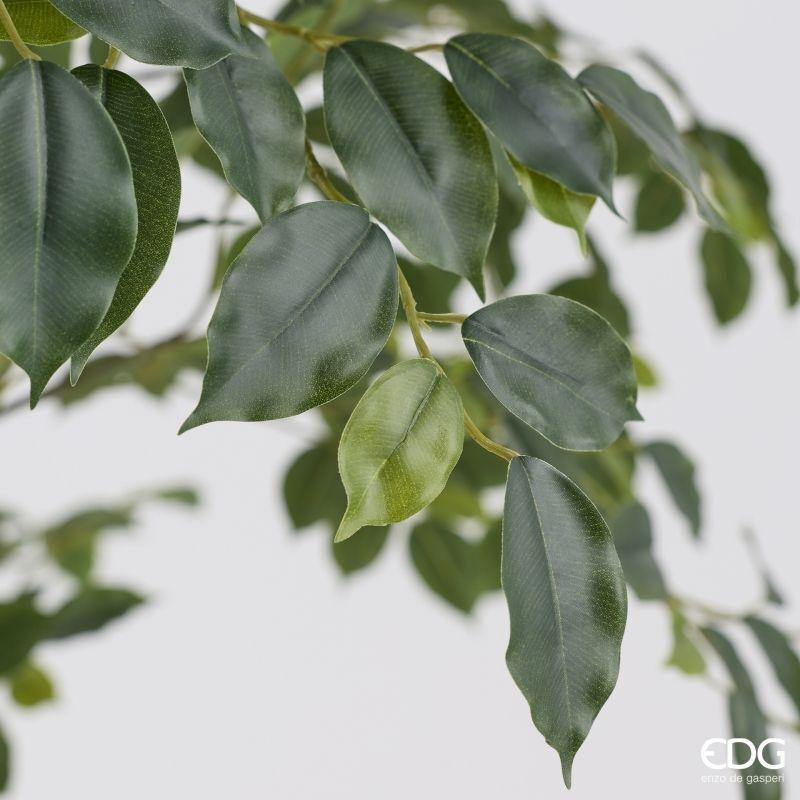 edg enzo de gasperi edg enzo de gasperi pianta artificiale ficus beniamino vogue con vaso h210 cm pianta decorativa realistica design moderno ean 8059824655059