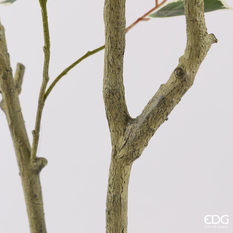 edg enzo de gasperi edg enzo de gasperi pianta artificiale ficus vogue con vaso h120 cm pianta decorativa realistica design moderno ean 8059824655226