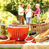 lotusgrill lotusgrill barbecue portatile 43 5 x 43 5 x 25 7 cm per esterno arancione ean 4260023010929