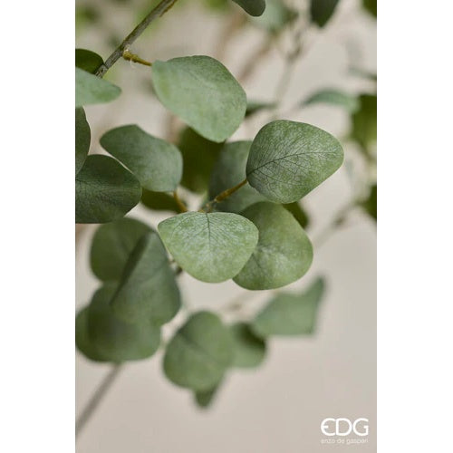 edg enzo de gasperi edg enzo de gasperi eucalipto con vaso h 244 cm pianta artificiale verde ean 8059824607287