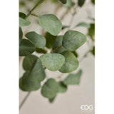 edg enzo de gasperi edg enzo de gasperi eucalipto con vaso h 244 cm pianta artificiale verde ean 8059824607287