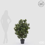 edg enzo de gasperi edg enzo de gasperi pianta artificiale agrifoglio h 121 cm con vaso anti uv verde per interno ed esterno ean 8059824655349